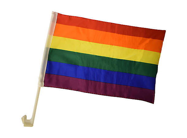 Rainbow - bilflagg 1 Bilflagg med feste - 30x45cm