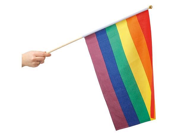 Rainbow håndflagg - Medium 1 Flagg i nylon - 30x40cm