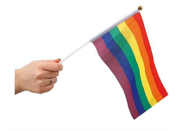 Rainbow håndflagg - Small 1 Flagg i nylon - 20x30cm